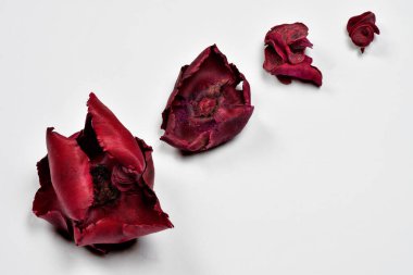 İzole yapraklar güzel şekiller oluşturuyor.