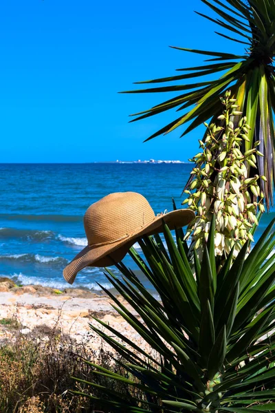 Akdeniz kıyısındaki bir bitkinin tepesindeki plaj şapkası.