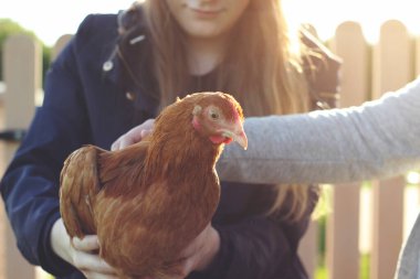 Tavuk çiftliği olan bir kadın.