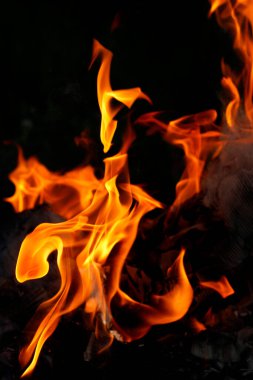 Vahşi ateş kırmızı gece lambası