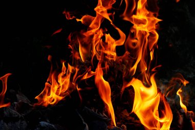 Vahşi ateş kırmızı gece lambası