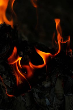 Vahşi ateş kırmızı gece lambası