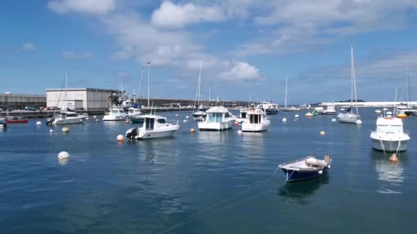 Bateaux Amarrés Dans Port Pêche Bermeo Midi Été Ensoleillé Pays — Video