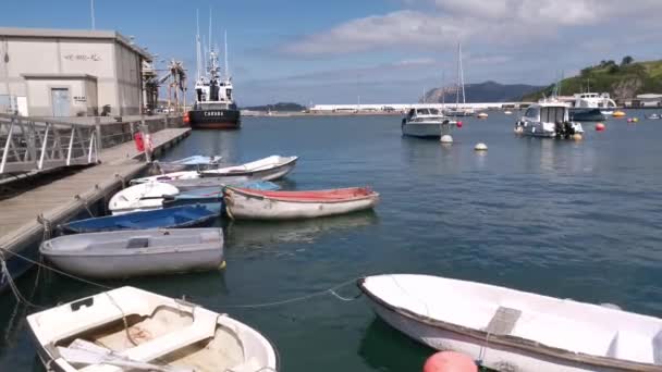 Barcos Amarrados Puerto Pesquero Bermeo Soleado Mediodía Verano País Vasco — Vídeos de Stock