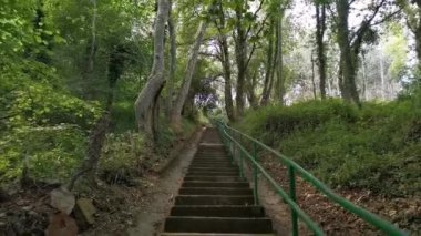 Ormanın ortasında dar ve dik merdivenler var.