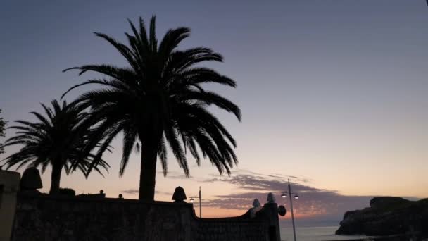 Sylwetki Palm Wschodzie Słońca Lekeitio Ładnym Niebem Krajobraz Tropikalny — Wideo stockowe