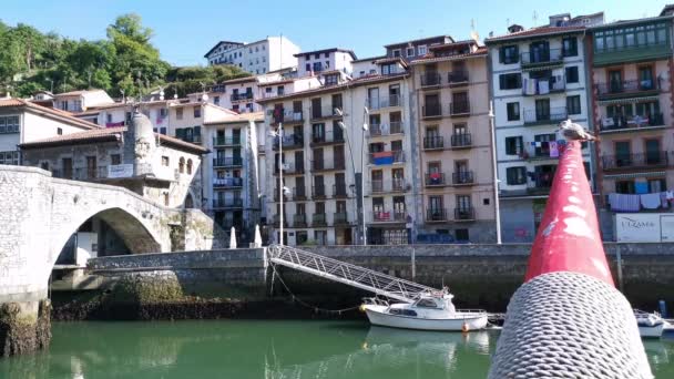 Views Fishing Village Ondarroa Sunny Summer Day — Stock Video