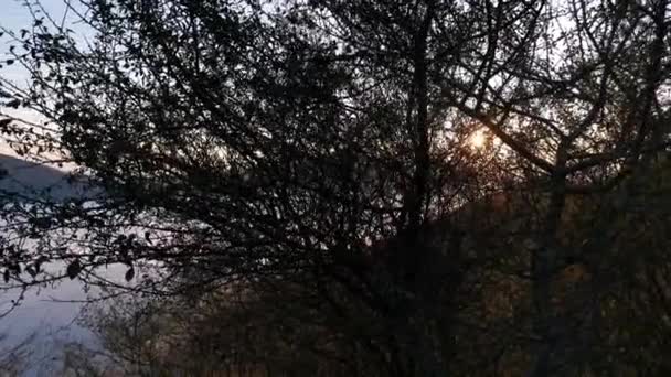 Sea Clouds Covering Valley Sunrise Silhouettes Peaks Emerging Mist — Stock Video