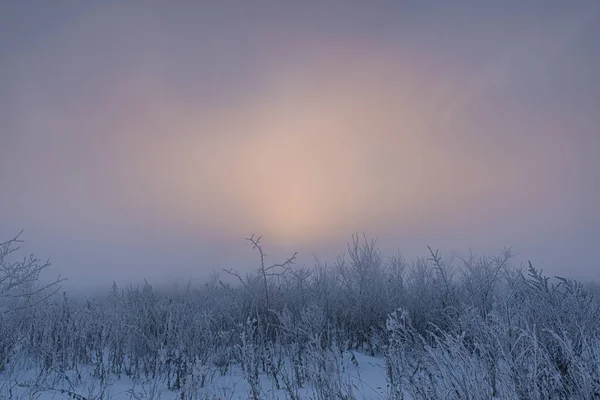 Fabelhafter Nebliger Morgen Winterlandschaft — Stockfoto