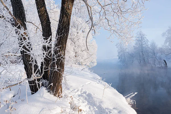 Świąteczny Krajobraz Pływającą Rzeką Otoczony Zamarzniętymi Drzewami Mroźny Poranek Zimowym — Zdjęcie stockowe