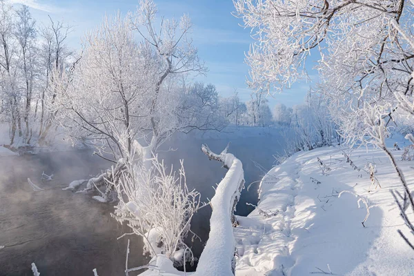 Świąteczny Krajobraz Pływającą Rzeką Otoczony Zamarzniętymi Drzewami Mroźny Poranek Zimowym — Zdjęcie stockowe