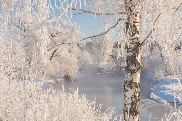 Weihnachtsmärchenlandschaft Blick Durch Birkenzweige Bei Frost — Stockfoto