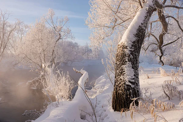 Weihnachtsmärchenlandschaft Ein Zugefrorener Fluss Mit Einer Abfallenden Birke — Stockfoto