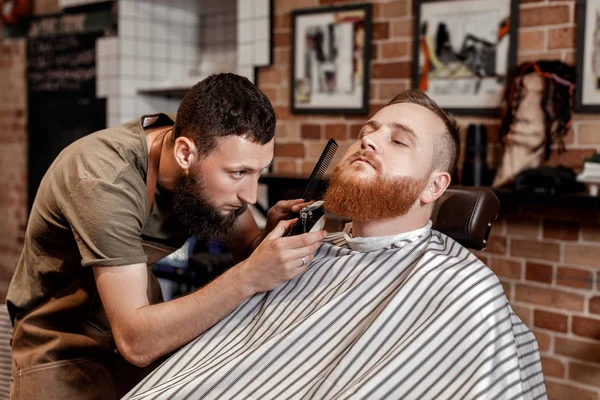 Barber and bearded man in barber shop