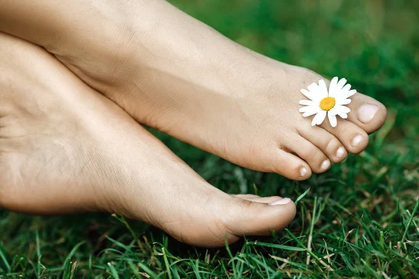 Bosé nohy s daisy na zelené trávě — Stock fotografie