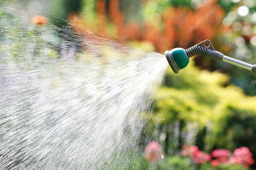 Watering garden flowers with hose