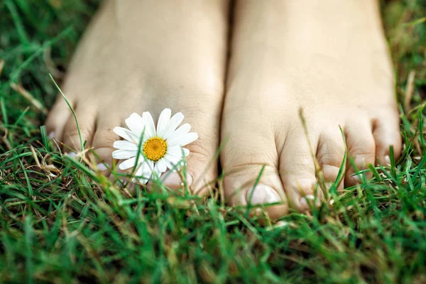 Голі ноги з ромашкою на зеленій траві — стокове фото