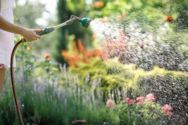 Watering garden flowers with hose — Stock Photo, Image