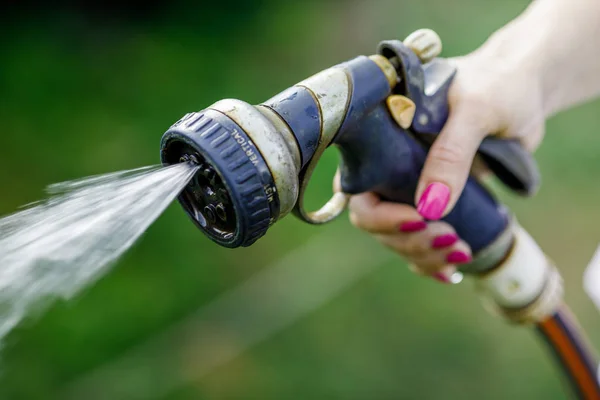 Watering garden flowers with hose — Stock Photo, Image