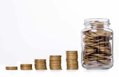 Paraları çantaya büyüyen bitki