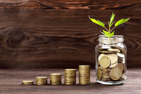 돈을 위해 동전 유리 항아리에 성장 하는 식물 — 스톡 사진