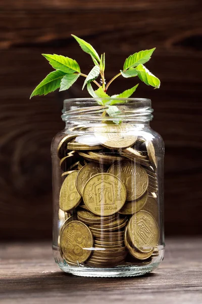 Plant groeit in munten glazen pot voor geld — Stockfoto