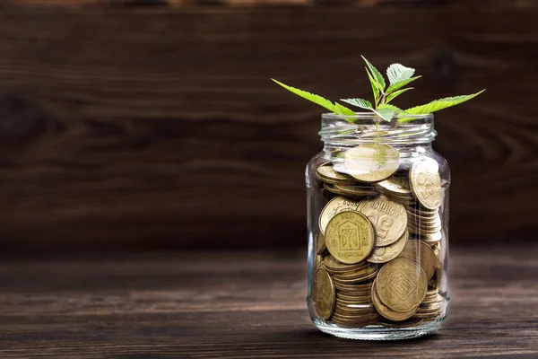 Plant groeit in munten glazen pot voor geld — Stockfoto