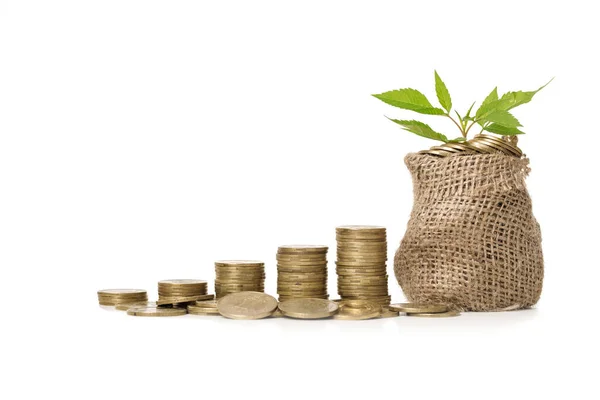 돈을 위해 동전 가방에 성장 하는 식물 — 스톡 사진
