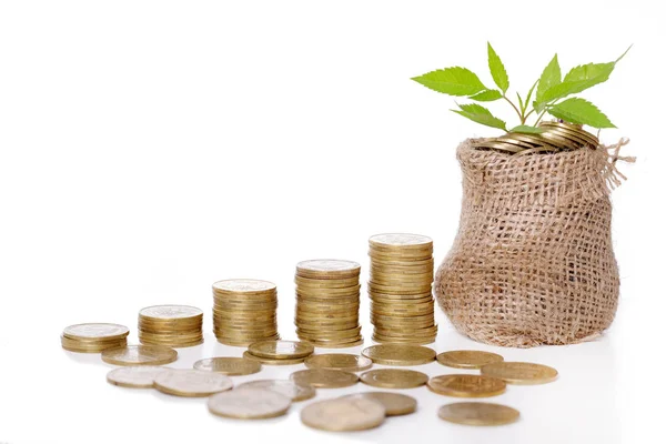 Plant groeit in munten zak voor geld — Stockfoto