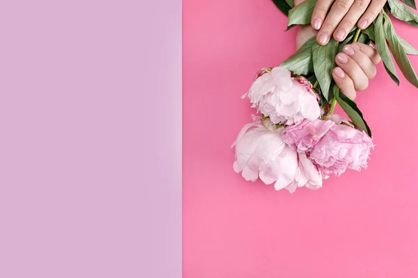 Weibliche Hände mit rosa Maniküre halten Pfingstrosen — Stockfoto