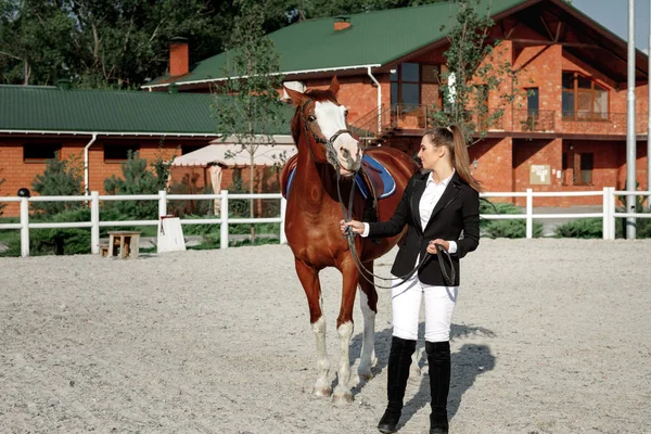 Jinete elegante mujer cabalgando su caballo fuera — Foto de Stock