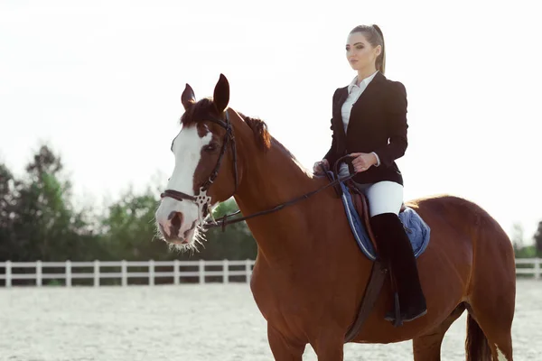 Cavaleiro mulher elegante montando seu cavalo fora — Fotografia de Stock