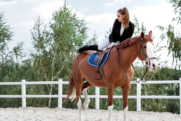 Jinete elegante mujer cabalgando su caballo fuera — Foto de Stock