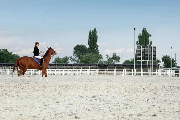 Jinete elegante mujer cabalgando su caballo fuera — Foto de Stock