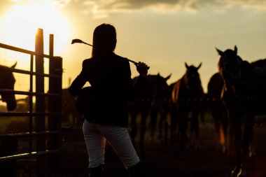 binici kadın gün batımında kamçı ile