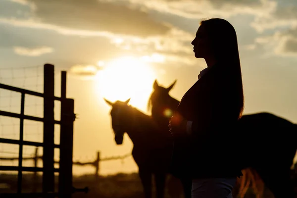 Jezdec žena s bičem na západ slunce — Stock fotografie