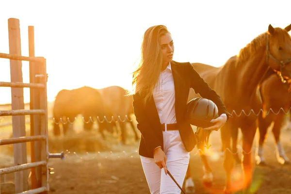 Jinete mujer con látigo al atardecer — Foto de Stock