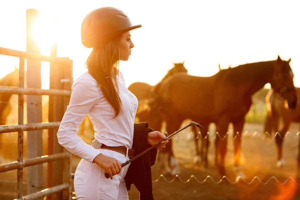 Jeździec kobieta z bata na zachód słońca — Zdjęcie stockowe