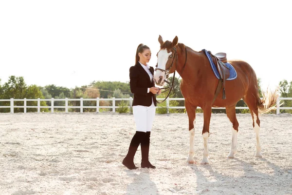 Jinete elegante mujer cabalgando su caballo fuera — Foto de Stock