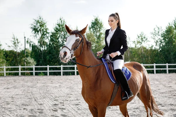 Jinete elegante mujer cabalgando su caballo fuera — Foto de Stock