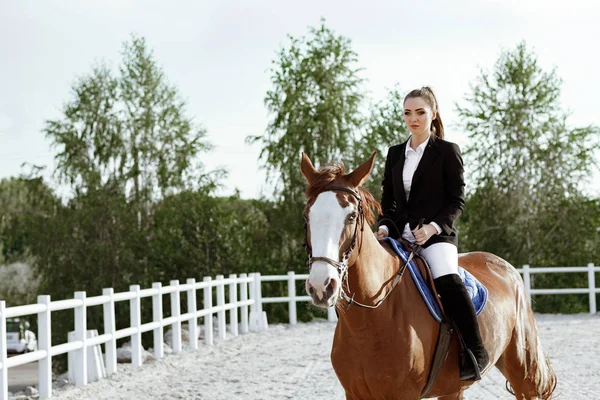 Reiterin elegante Frau reitet ihr Pferd draußen — Stockfoto