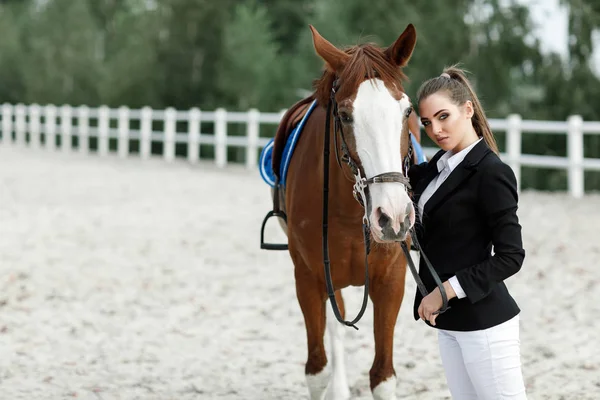 Rider elegant woman riding her horse outside — Stock Photo, Image