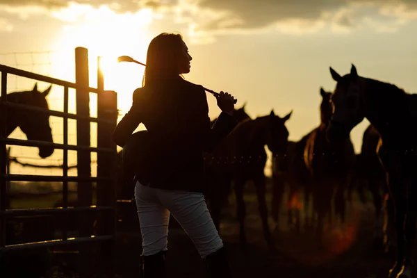 Rider woman with whip at the sunset — Stock Photo, Image