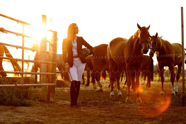 Jezdec žena s bičem na západ slunce — Stock fotografie