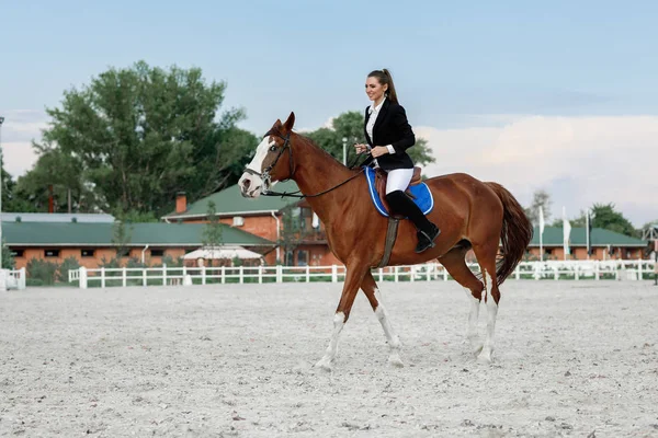 Jinete elegante mujer cabalgando su caballo fuera — Foto de Stock