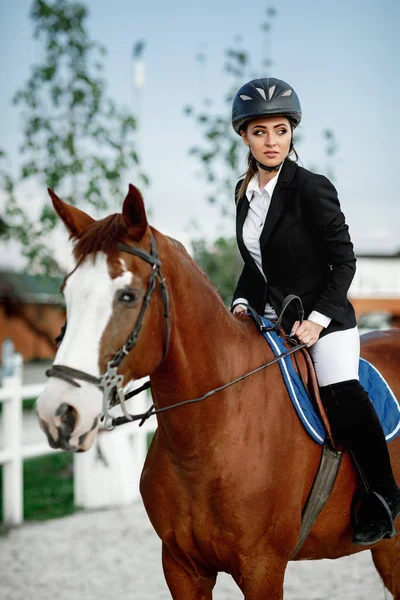 Jinete elegante mujer cabalgando su caballo fuera — Foto de Stock