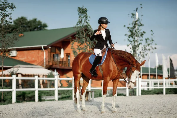 Cavalier femme élégante chevauchant son cheval à l'extérieur — Photo