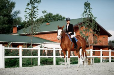 Binici zarif kadın dışında onun at binme