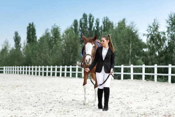 Jinete elegante mujer cabalgando su caballo fuera — Foto de Stock