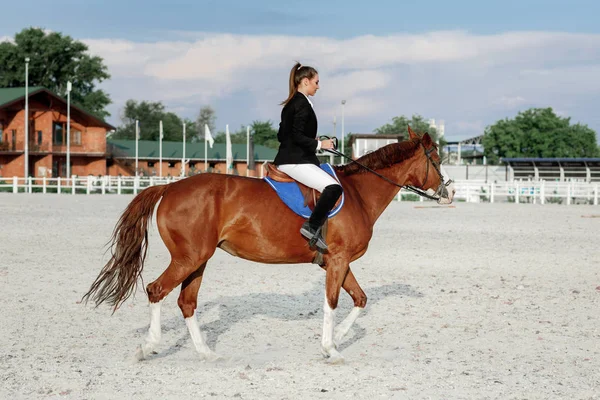 Rider jazda konia poza eleganckiej kobiety — Zdjęcie stockowe